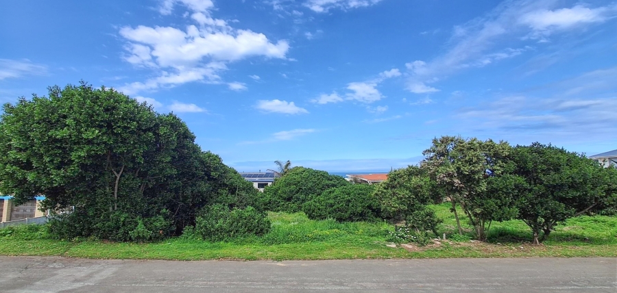0 Bedroom Property for Sale in Reebok Western Cape